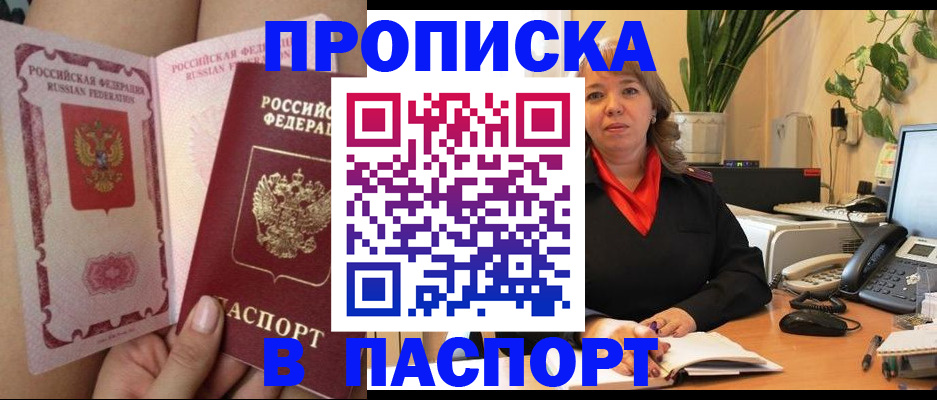 прописка поиск в Камышине